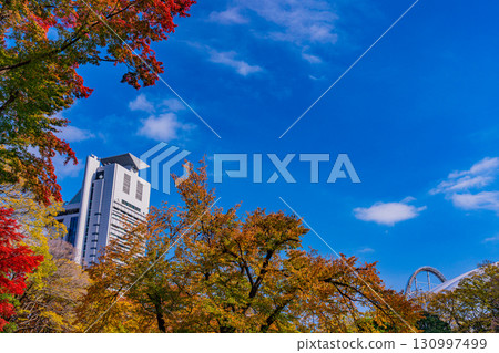 [Tokyo] Koishikawa Korakuen Garden during autumn foliage 130997499