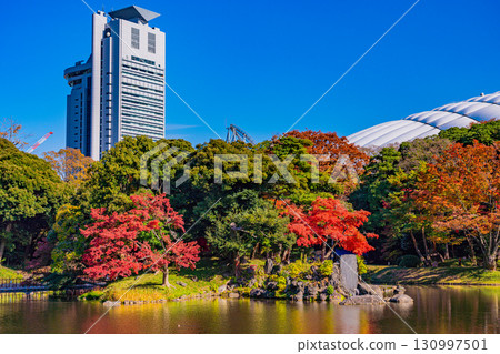[東京]紅葉時期的小石川後樂園 130997501