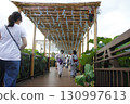 Women in yukata strolling along the wind chime path 130997613