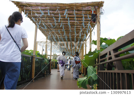 Women in yukata strolling along the wind chime path Women in yukata strolling along the wind chime path 130997613