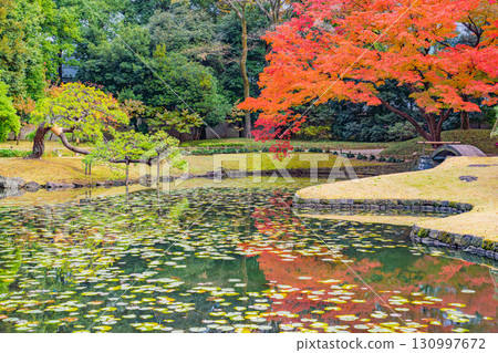 [東京] 秋葉盛開的小石川後樂園 130997672