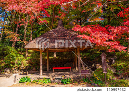 [Tokyo] Koishikawa Korakuen Garden at the peak of autumn foliage 130997682