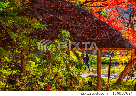 [東京] 秋葉盛開的小石川後樂園 130997684