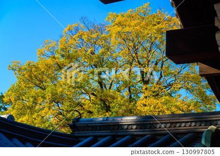 京都御苑神社支柱遺址 130997805