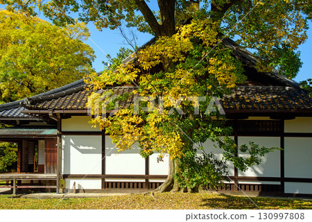 京都御苑神社支柱遺址 京都御苑神社支柱遺址 130997808