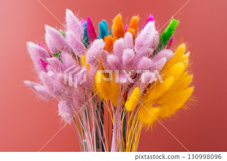 brightly colored Lagurus Ovatus 130998096