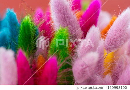 brightly colored Lagurus Ovatus brightly colored Lagurus Ovatus 130998100