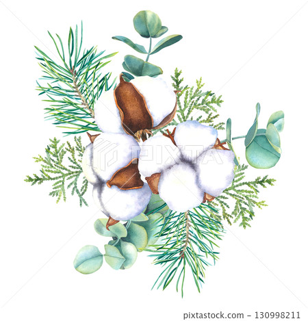 Watercolor illustration of cotton flowers bolls, spruce twigs and eucalyptus branches and thuja. Drawing of botanical elements on isolated background for festive decor, holiday cards or invitations. Watercolor illustration of cotton flowers bolls, spruce twigs and eucalyptus branches and thuja. Drawing of botanical elements on isolated background for festive decor, holiday cards or invitations. 130998211