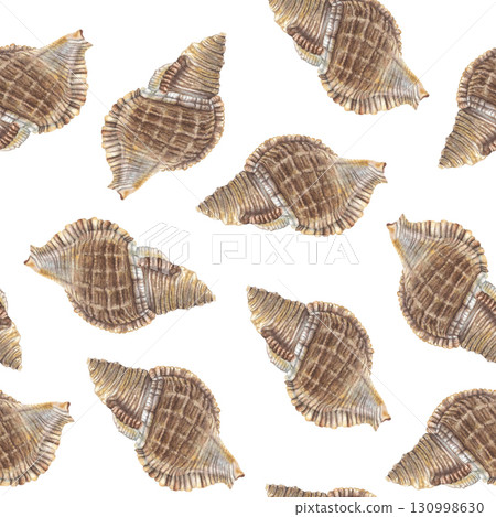 Seamless pattern exotic seashell. Hand drawn watercolor illustration of underwater animal on white background. Sketch of cockleshell for fabric print, wallpaper, wrapping paper, marine style decor. Seamless pattern exotic seashell. Hand drawn watercolor illustration of underwater animal on white background. Sketch of cockleshell for fabric print, wallpaper, wrapping paper, marine style decor. 130998630