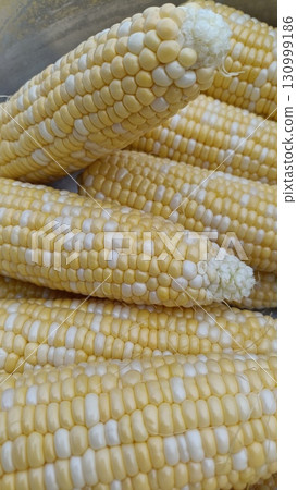 大量新鮮玉米 大量新鮮玉米 130999186