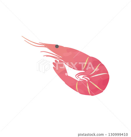 Shrimp vector illustration watercolor hand-drawn style 130999410