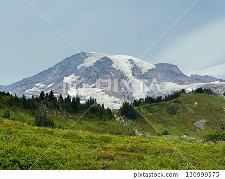 雷尼爾山頂峰，馬翁雷尼爾國家公園，八月下旬 130999575