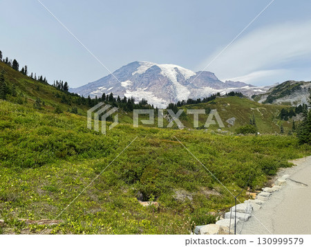 雷尼爾山頂峰和步道,馬翁雷尼爾國家公園,八月下旬 雷尼爾山頂峰和步道,馬翁雷尼爾國家公園,八月下旬 130999579