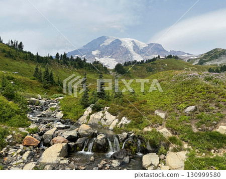 默特爾河和雷尼爾山，馬翁雷尼爾國家公園，八月下旬 130999580
