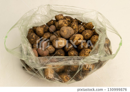 Freshly harvested potatoes in plastic bag showing raw vegetables 130999876