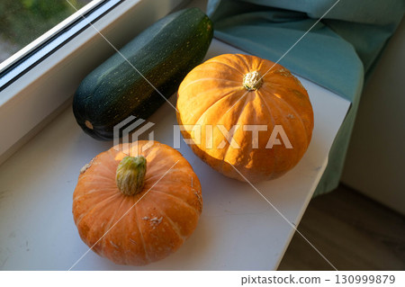 Harvest pumpkins and zucchini on windowsill in sunlight Harvest pumpkins and zucchini on windowsill in sunlight 130999879