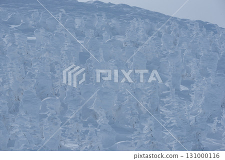 Yamagata Prefecture Zao Onsen Ski Resort: A silvery world of frost-covered trees 131000116