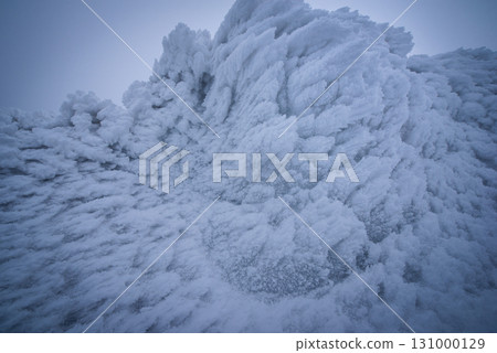 Yamagata Prefecture Zao Onsen Ski Resort: A silvery world of frost-covered trees 131000129