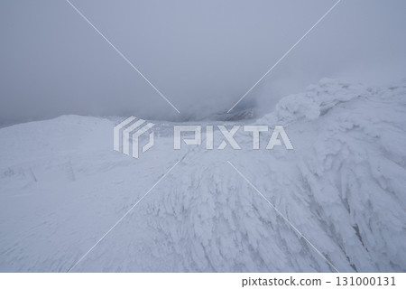 山形縣藏王溫泉滑雪場：銀裝素裹的樹冰世界 131000131