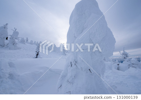 Yamagata Prefecture Zao Onsen Ski Resort: A silvery world of frost-covered trees 131000139