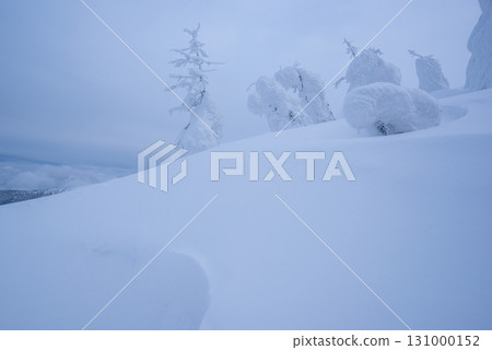 山形縣藏王溫泉滑雪場：銀裝素裹的樹冰世界 131000152