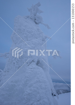 山形縣藏王溫泉滑雪場:銀裝素裹的樹冰世界 山形縣藏王溫泉滑雪場:銀裝素裹的樹冰世界 131000153