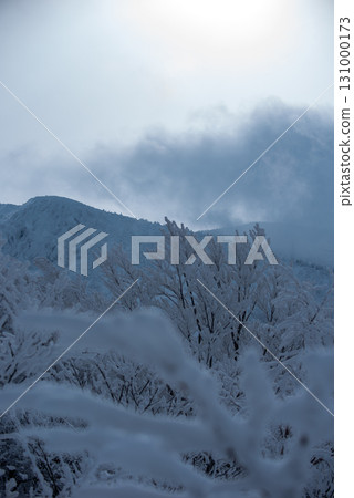 Yamagata Prefecture Zao Onsen Ski Resort: A silvery world of frost-covered trees Yamagata Prefecture Zao Onsen Ski Resort: A silvery world of frost-covered trees 131000173