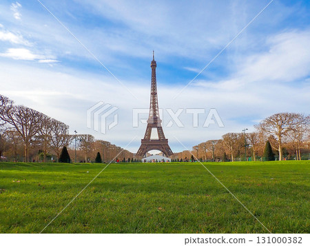 View of the Eiffel Tower from the lawn 131000382