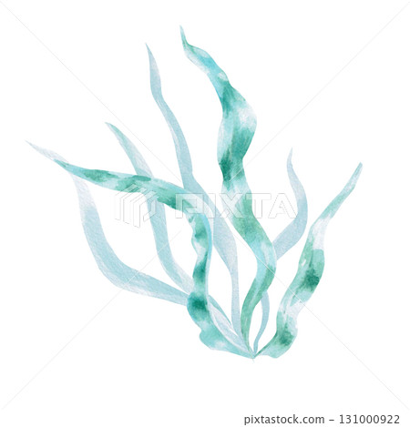 A bush of green, long seaweed leaves. Isolated watercolor painting of underwater plants for children's prints, clothing, and interior design for themed parties and children's rooms. 131000922