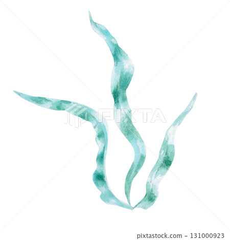 Green long seaweed leaves. Isolated watercolor underwater plant illustrations for children's prints, clothing printing, and interior design for themed parties and children's rooms. 131000923