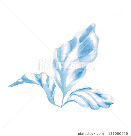 Blue seaweed leaves. Isolated watercolor painting of underwater plants for children's prints, clothing, and interior design for themed parties and children's rooms. Blue seaweed leaves. Isolated watercolor painting of underwater plants for children's prints, clothing, and interior design for themed parties and children's rooms. 131000926