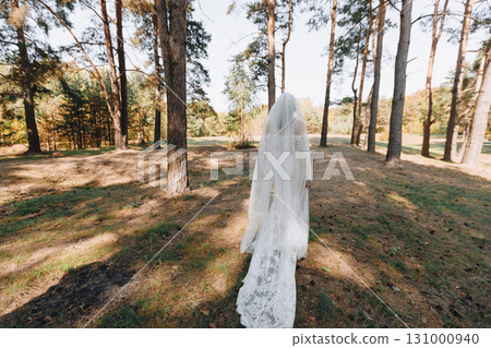 Bride in Lace Dress in Pine Forest Bride in Lace Dress in Pine Forest 131000940