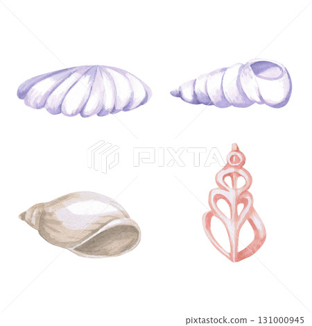 A set of four seashells. Isolated watercolor illustration for children's prints, clothing, and interior design for themed parties and children's rooms. 131000945