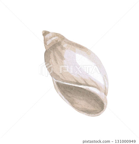Beige shell. Isolated watercolor illustration of underwater creatures for children's prints, clothing, and interior design for themed parties and children's rooms. Beige shell. Isolated watercolor illustration of underwater creatures for children's prints, clothing, and interior design for themed parties and children's rooms. 131000949