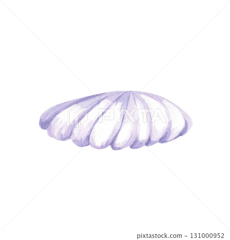A fabulous purple shell. Isolated watercolor illustration of underwater creatures for children's prints, clothing, and interior design for themed parties and children's rooms. A fabulous purple shell. Isolated watercolor illustration of underwater creatures for children's prints, clothing, and interior design for themed parties and children's rooms. 131000952
