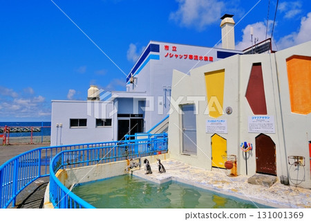 稚內市Noshap Kanryu水族館 131001369
