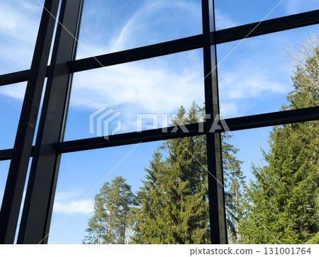 Looking through window, forests in sunrise view. Forest view from the window Looking through window, forests in sunrise view. Forest view from the window 131001764