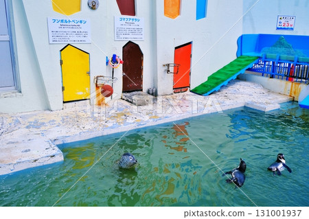 稚內市野寒布寒流水族館 131001937