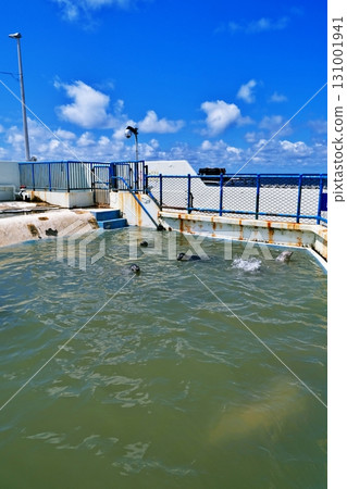 Wakkanai City Noshappu Cold Current Aquarium 131001941