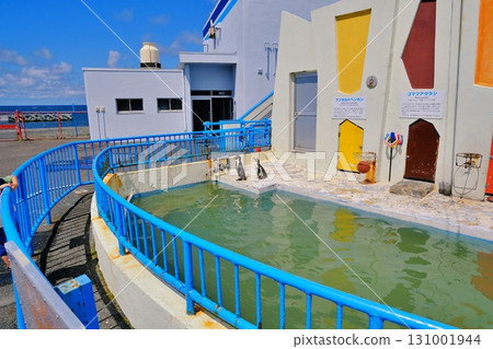 Wakkanai City Noshappu Cold Current Aquarium Wakkanai City Noshappu Cold Current Aquarium 131001944