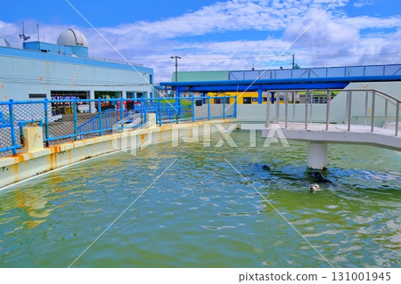 稚內市野寒布寒流水族館 稚內市野寒布寒流水族館 131001945