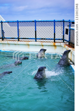 稚內市野寒布寒流水族館 稚內市野寒布寒流水族館 131001948