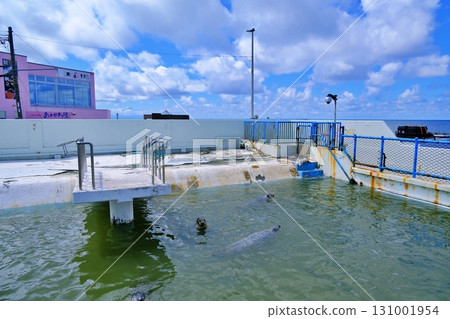 稚內市野寒布寒流水族館 131001954
