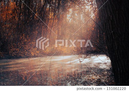 A calm autumn pond surrounded by trees with sunlight filtering through it 131002220