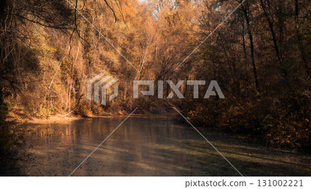 Autumn Forest and Calm River Landscape 131002221