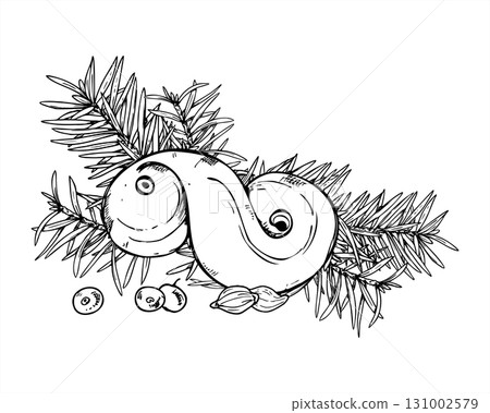 Sweet bun, pine branches, berries, cardamom seeds vector illustration painted by black inks. Monochrome Christmas desserts and spruce decor line ink drawing. Scandinavian pastry, fir composition 131002579