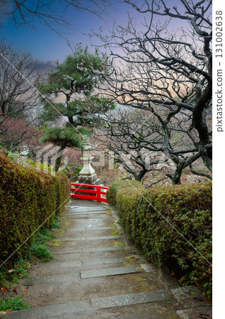 Scenery of Nakayamadera Plum Grove Park after rain, lanterns, March 11, Japan 131002638