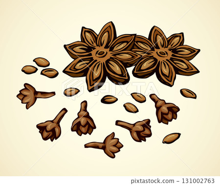 Anise. Vector drawing 131002763