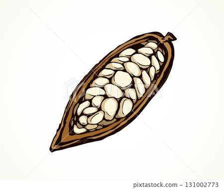 Cocoa Fruits. Vector drawing 131002773