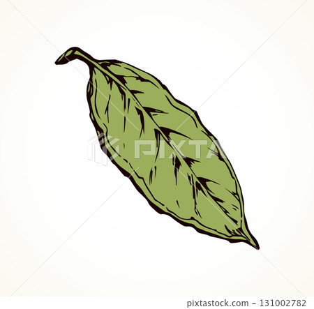 Tree leaf. Vector drawing icon 131002782